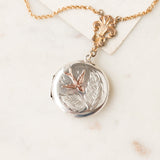 Dawn Sterling Swallow Locket